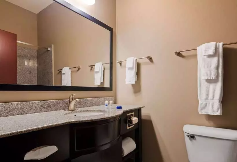 בית מלון כפרי Best Western Abbeville Inn And Suites