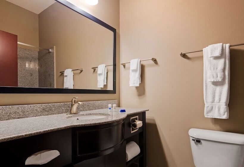 Отель Best Western Abbeville Inn And Suites