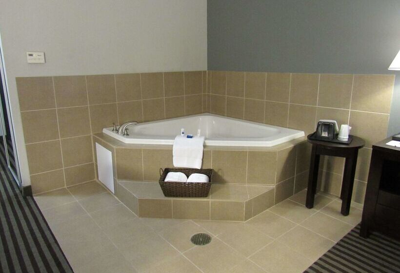 Отель Best Western Abbeville Inn And Suites