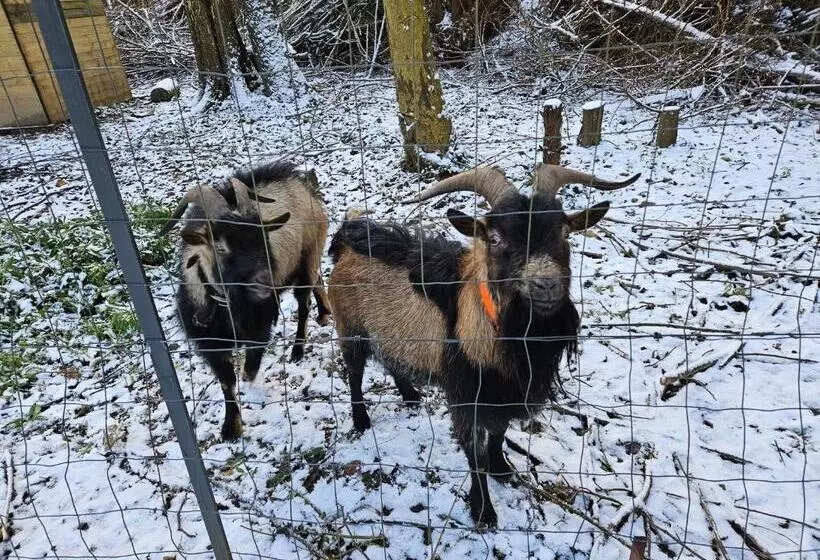 Aamiaismajoitus (B&B) Cabane 5km Etretat