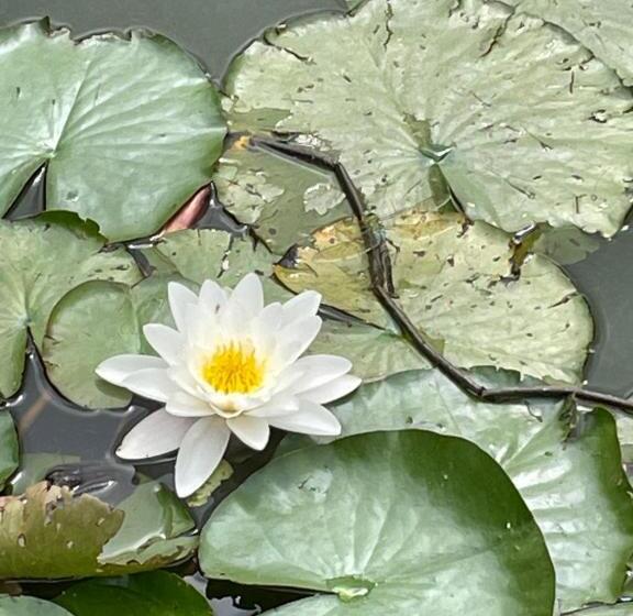 住宿加早餐  Winsley Park Farm