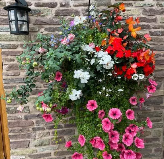 Aamiaismajoitus (B&B) Winsley Park Farm