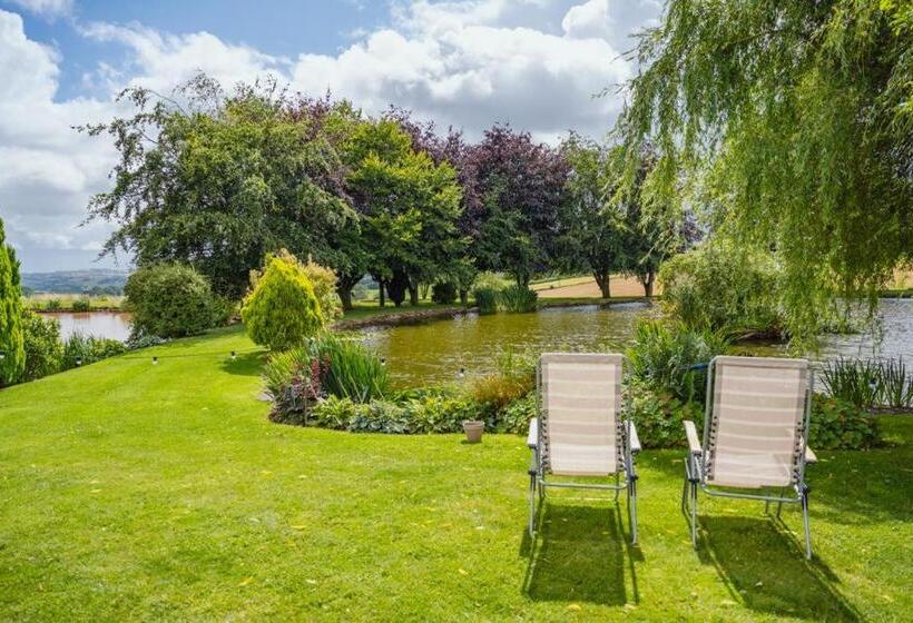 住宿加早餐  Winsley Park Farm