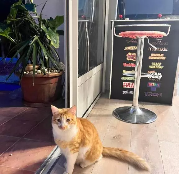 Majatalo Minor Swing Appartement  Casa Monica Maison D Hôte