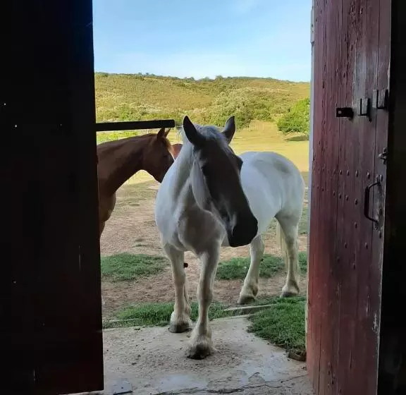 Majatalo Zeekoegat Historical Homestead