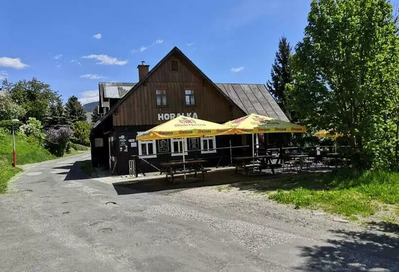 Pension Horalka 206