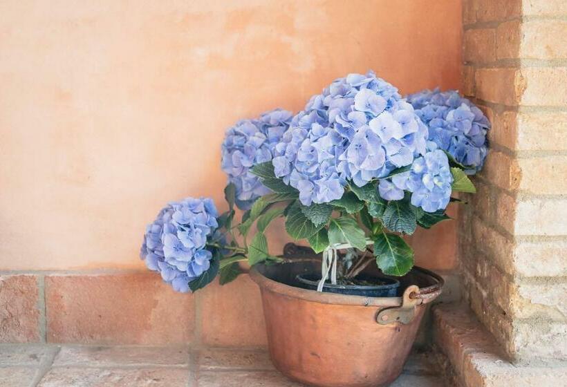 住宿加早餐 Cà Mati