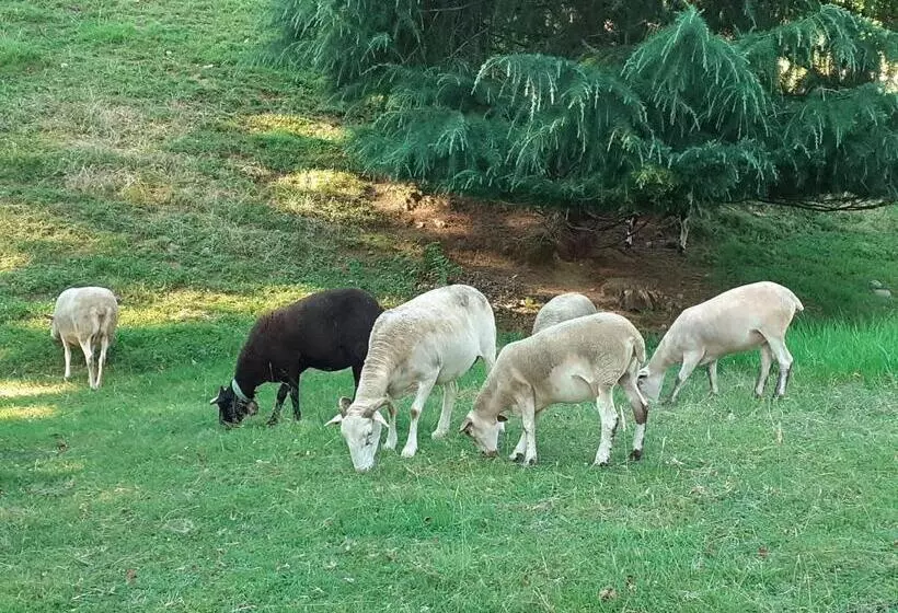 Aamiaismajoitus (B&B) Résidence Bellevue