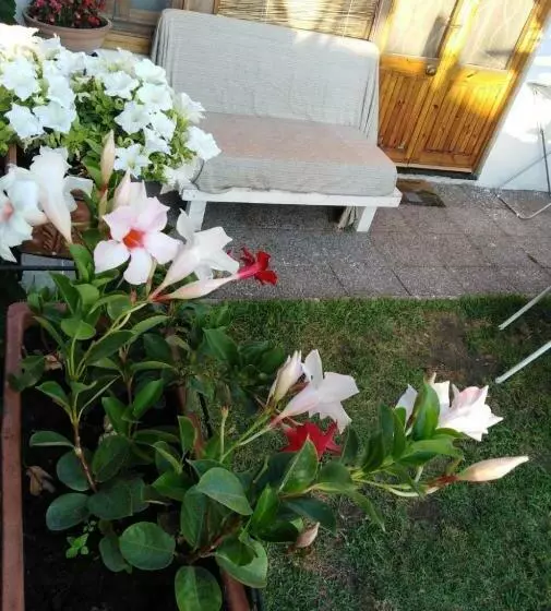 Majatalo Sweet Home