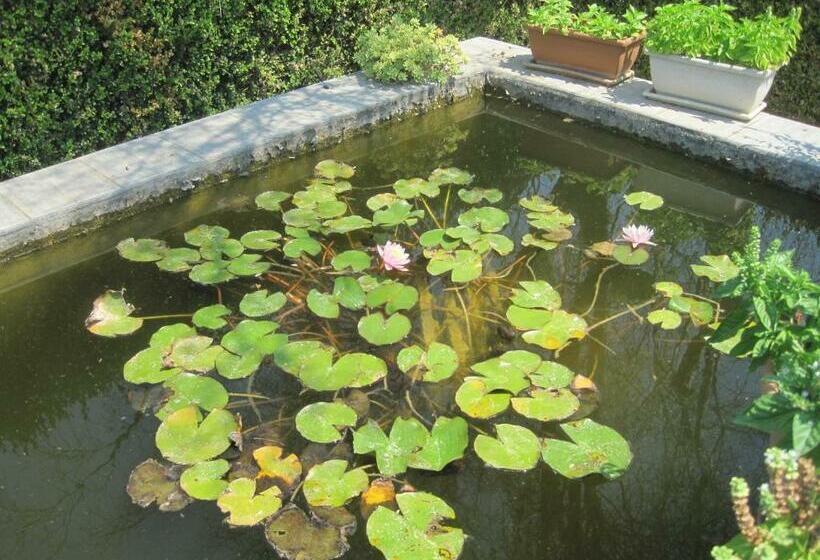 Пансион Tenuta Innocenzi