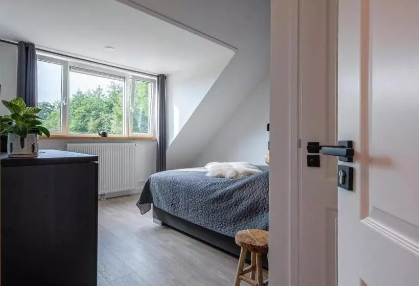 Aamiaismajoitus (B&B) Dock10texel