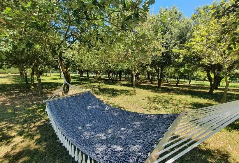 Aamiaismajoitus (B&B) Le Mas D Archas Montélimar Sud