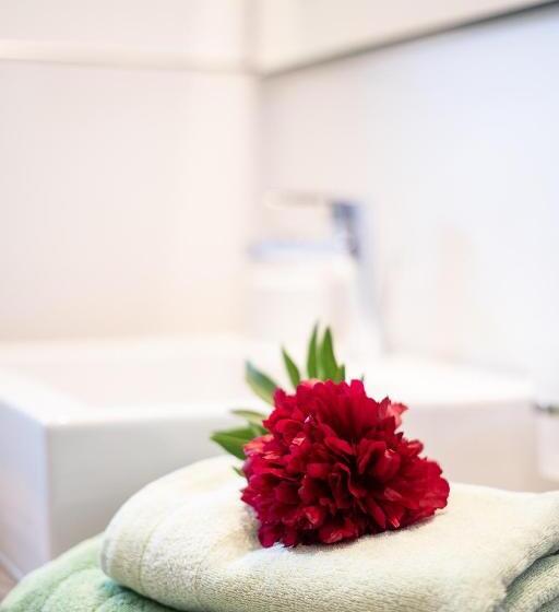 膳宿费 Haus Alpenblick