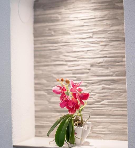 膳宿费 Haus Alpenblick