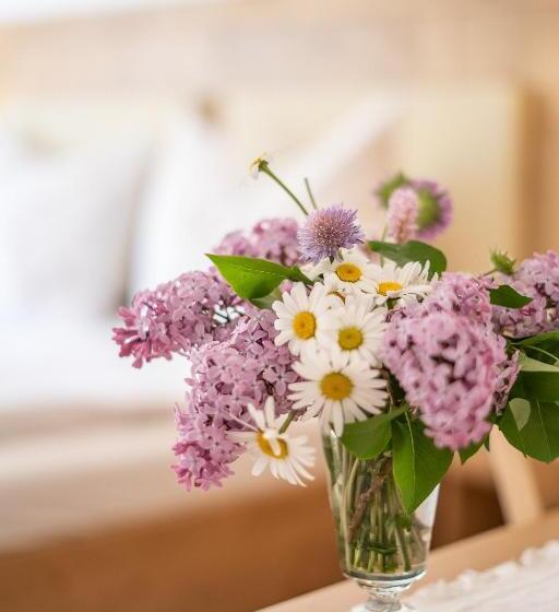 膳宿费 Haus Alpenblick