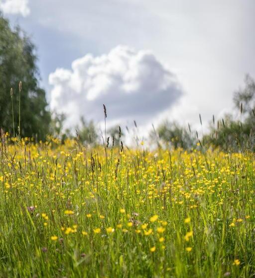 膳宿费 Haus Alpenblick