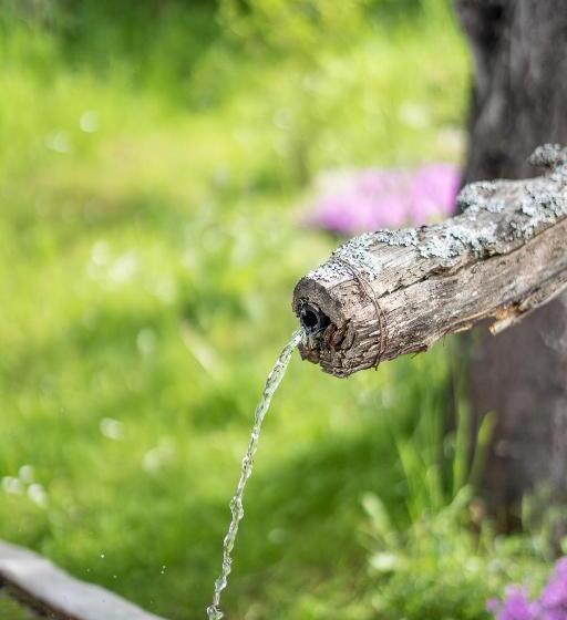 膳宿费 Haus Alpenblick