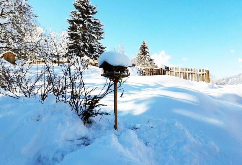 膳宿费 Haus Alpenblick