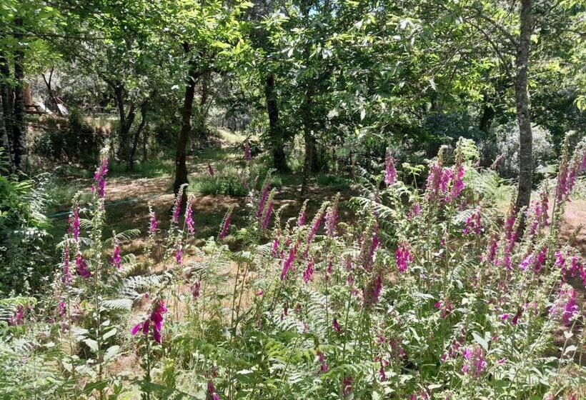 مبيت وإفطار O Homem Verde