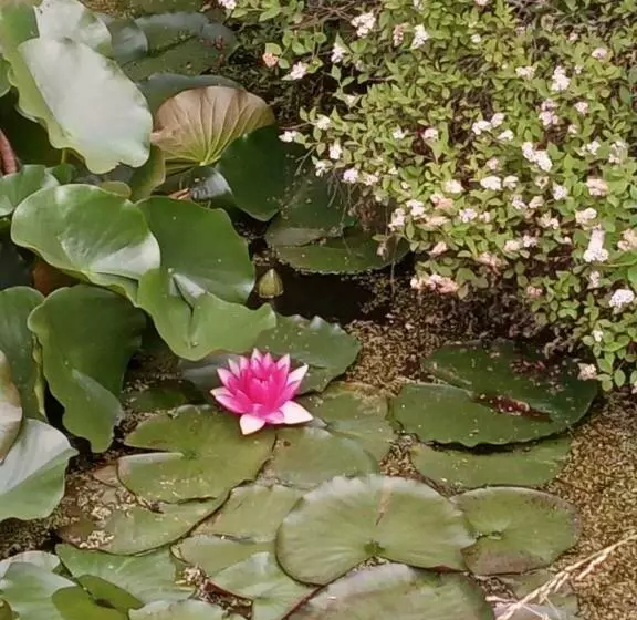 ペンション La Chapelle