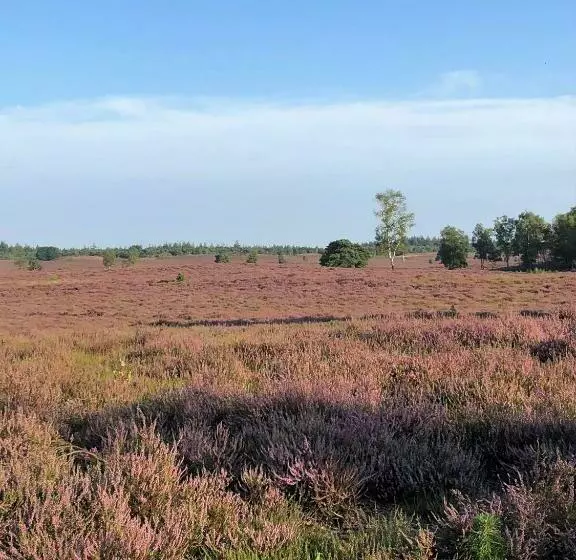 B&b Onderderietenkap