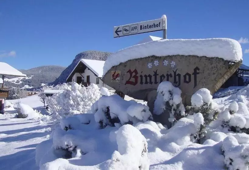 هتل Binterhof Alpin Deluxe App