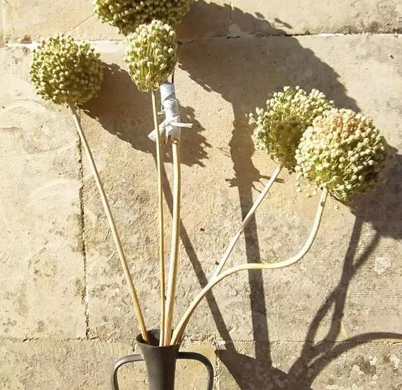 Majatalo Giardino Frannicola