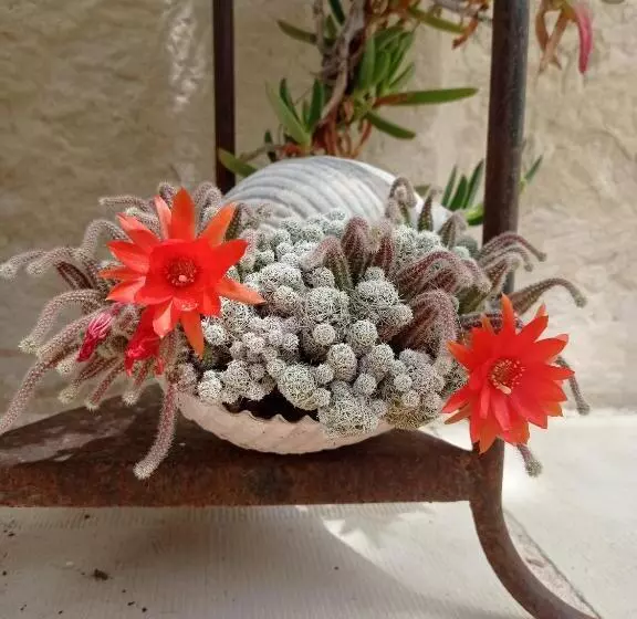 Majatalo Giardino Frannicola