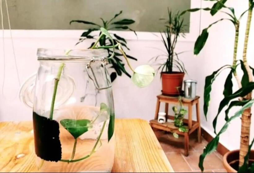 پانسیون Maria Magdalena   Room 4