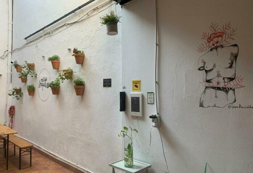 پانسیون Maria Magdalena   Room 4