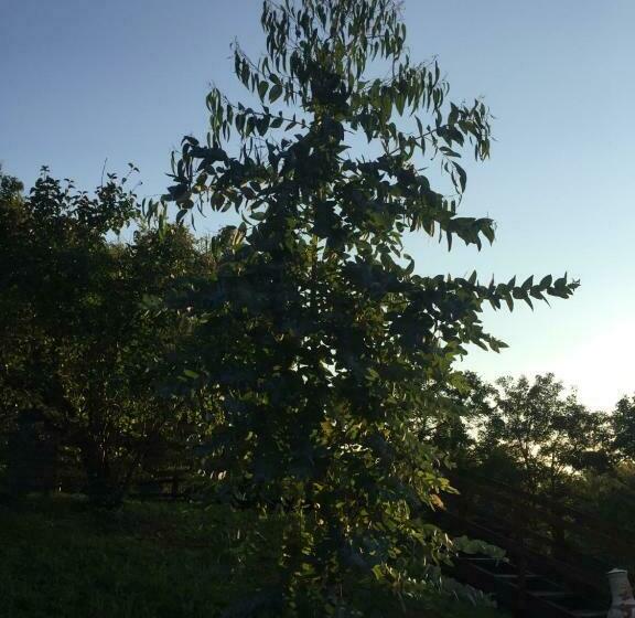 Bed and Breakfast Au Son De L Angélus