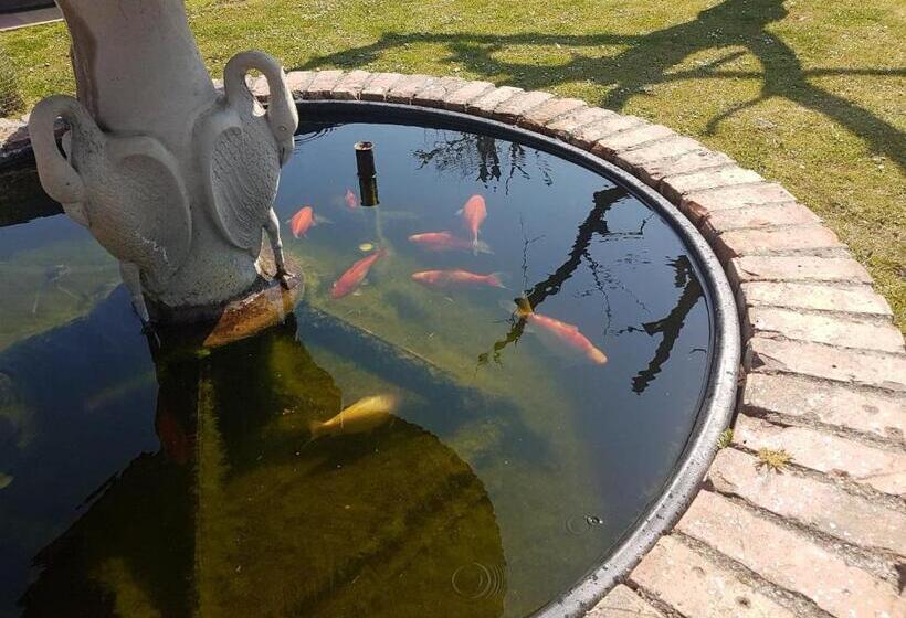 Thorncroft B&b   Adults Only