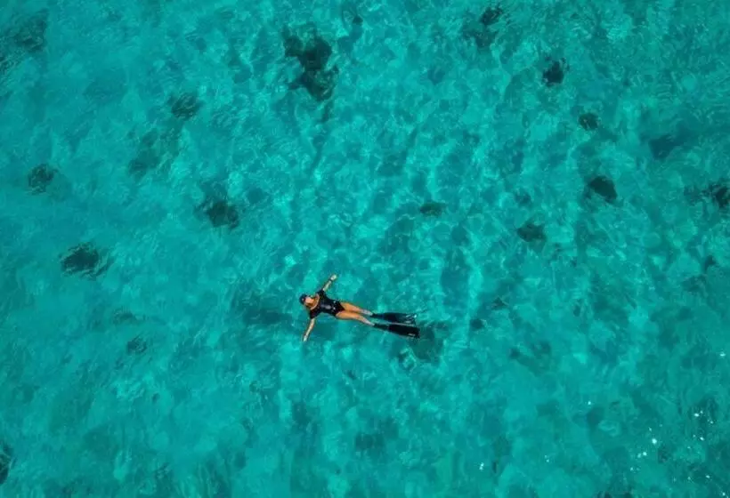 Northville Beach Resort Powered By Cocotel