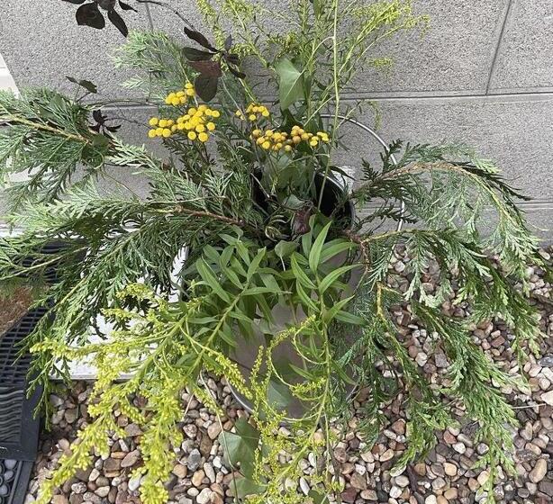 ベッドアンドブレックファースト Evasion De Loire