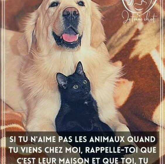 住宿加早餐 La Grande Jaougue