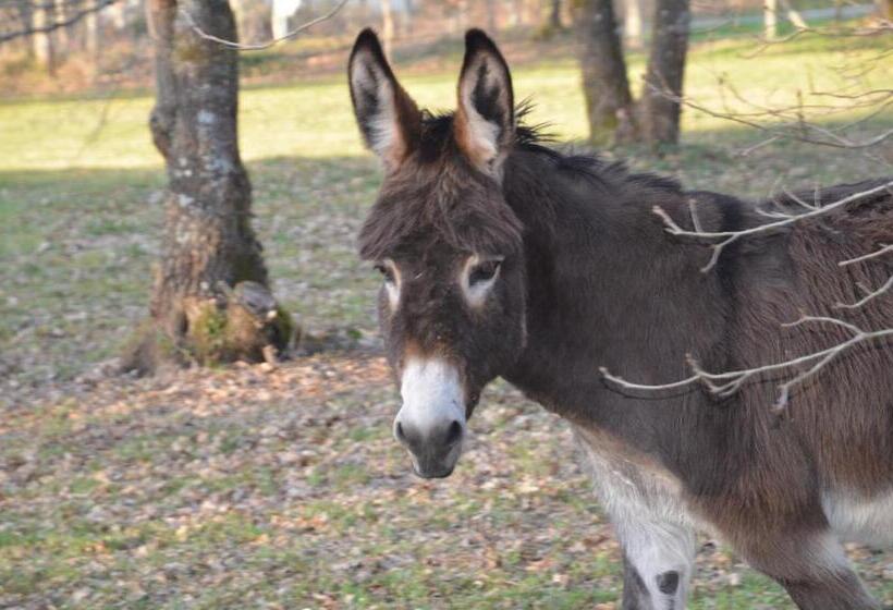 住宿加早餐 La Grande Jaougue