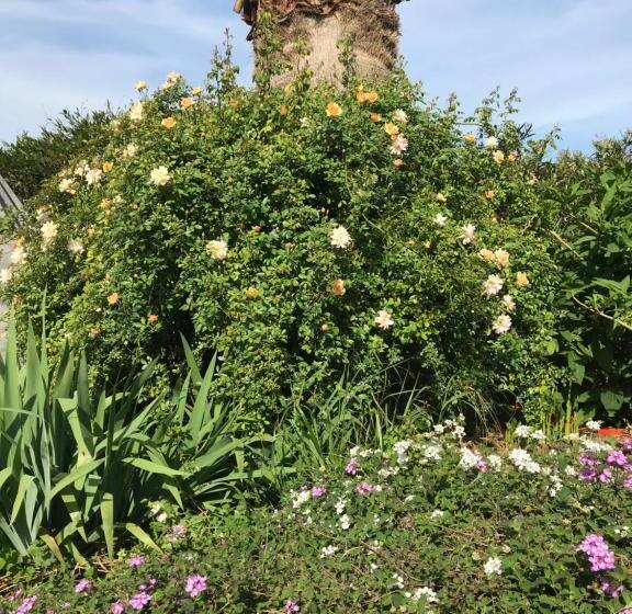 Bed and Breakfast La Passiflore