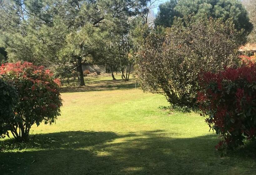 تختخواب و صبحانه Le 25 L Océan