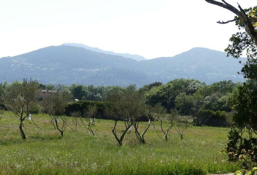 ベッドアンドブレックファースト Le Charme D Une Vieille Bastide Provençale