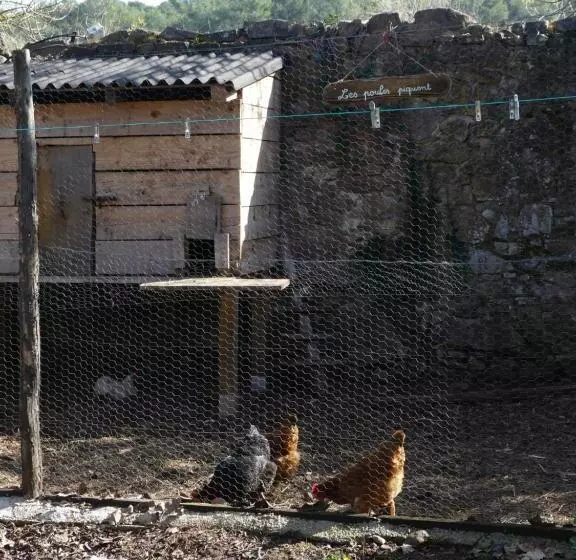 ベッドアンドブレックファースト Le Charme D Une Vieille Bastide Provençale
