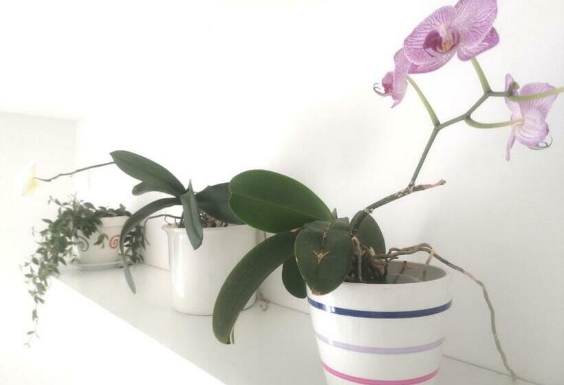 Pensió Bell Orizzonte