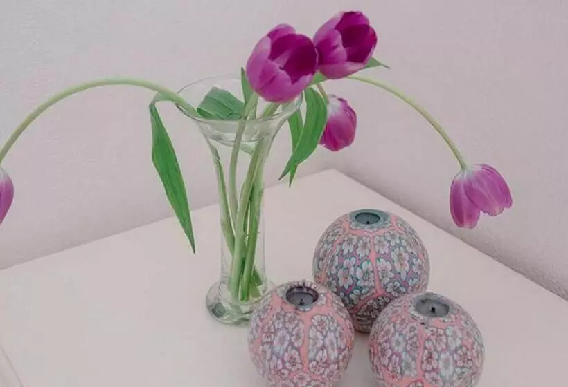 Majatalo Coco Cabana Guest House