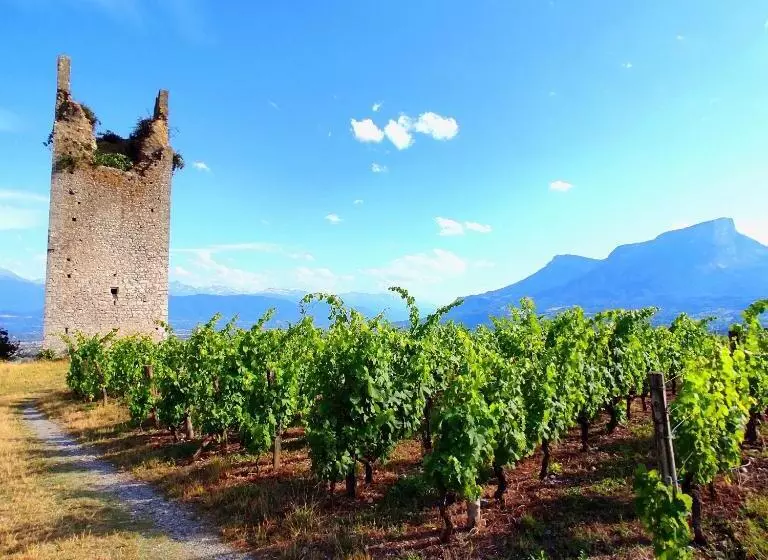 ベッドアンドブレックファースト Le Belvédère : Chambres Et Table D Hôtes