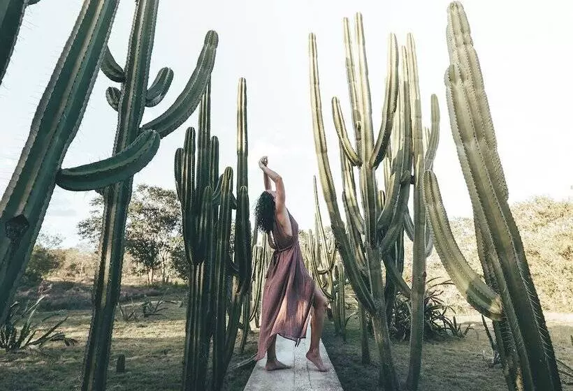 ホテル Hacienda San Antonio Millet