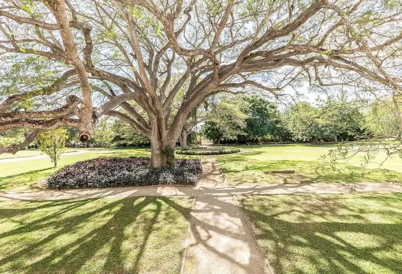 ホテル Hacienda San Antonio Millet