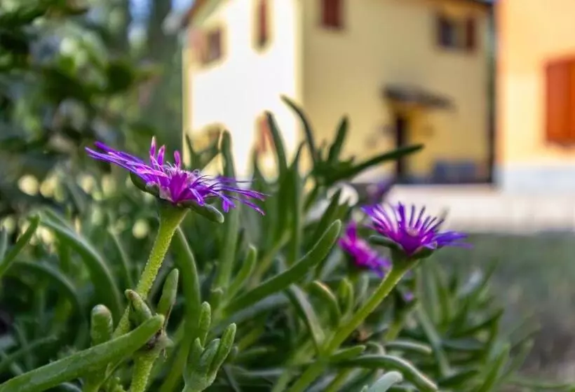 پانسیون 3t Affitti Brevi Italia