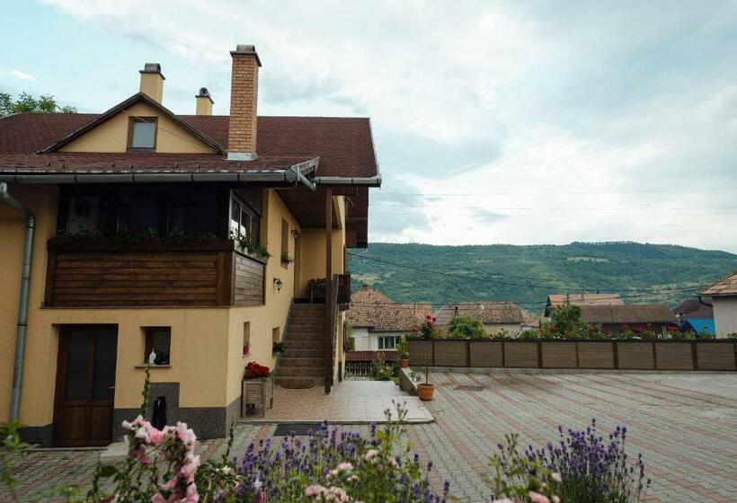 פנסיון Zet House