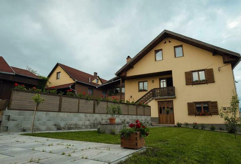 פנסיון Zet House