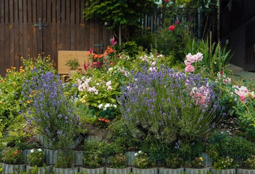 פנסיון Zet House