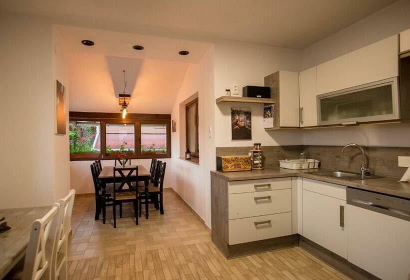 פנסיון Zet House